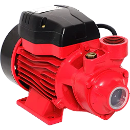 Bomba Periferica Duo 3/4 Hp 127V Pkm70