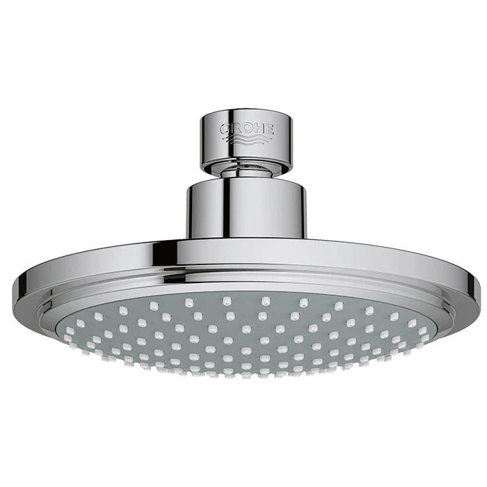 Regadera Euphoria Con Chorro Fijo Y Sistema Anticalcáreo Cromo Pv9480