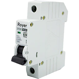 Interruptor Riel Din 1P 25A 6/10Ka (Rydn6-1C25)