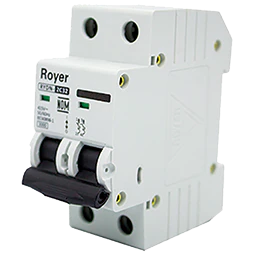 Interruptor Riel Din 2P 50A 6/10Ka (Rydn6-2C50)