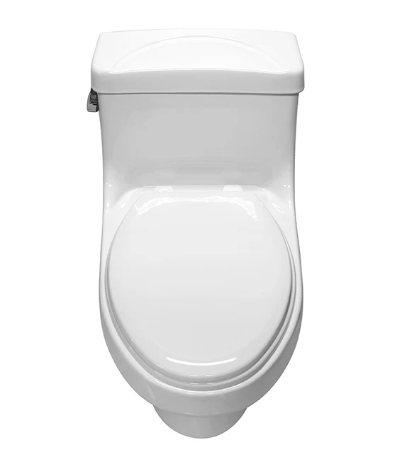 Sanitario One Piece Ava Cato | Alargado | Cierre Estándar | 4.8 L | Blanco - Image 3